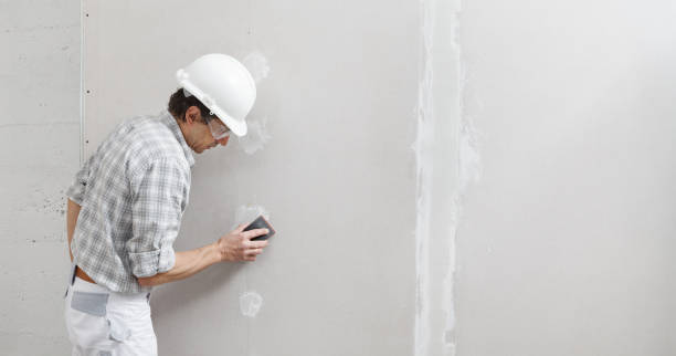 Best Airborne Mold Testing  in Elfers, FL